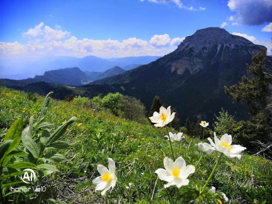 La Tour En Belledonne